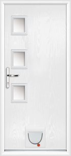 Cat flap on front door online