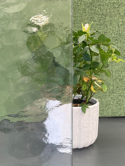 Half-and-half view of plant with and without obscure glass
