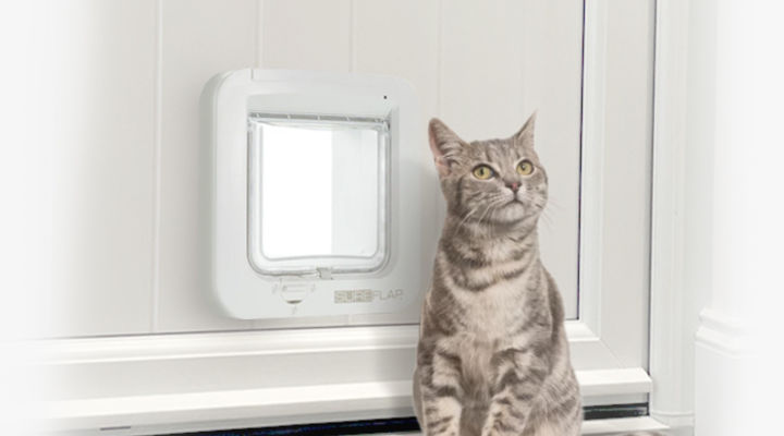 SureFlap microchip catflap in a UPVC door with a cat