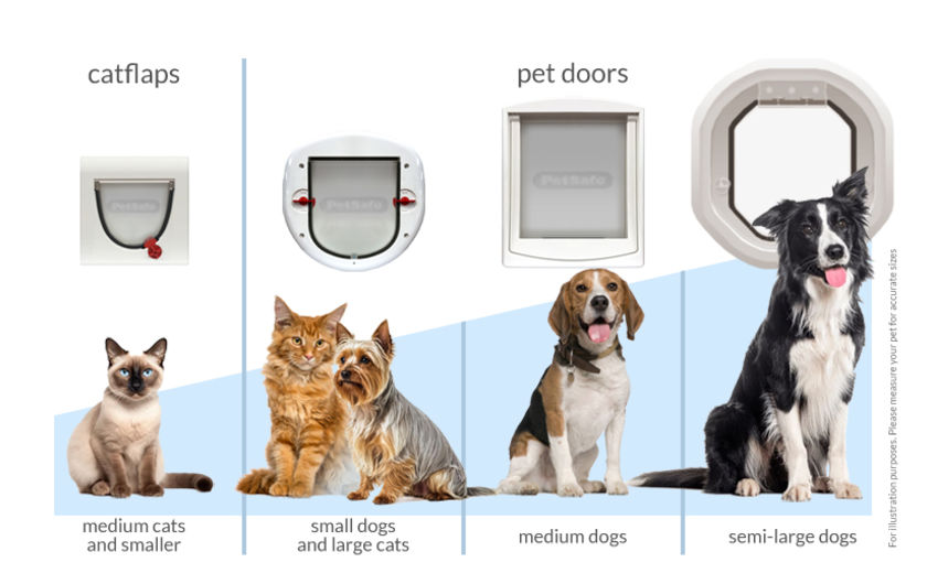 Cats and dogs of different sizes with different pet doors