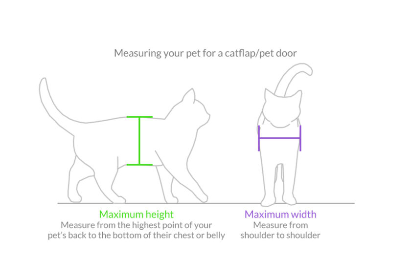 Cat measuring guide for catflap