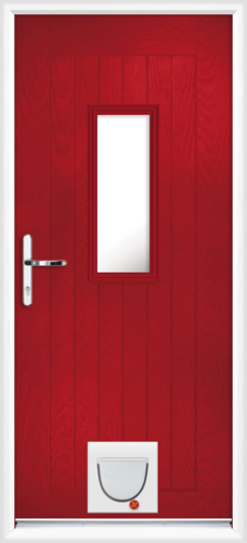 Cumbria anice with catflap