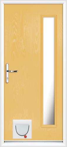 Gwynedd anice with catflap