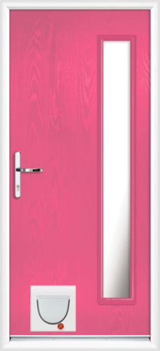 Gwynedd anice with catflap