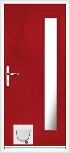 Gwynedd anice with catflap