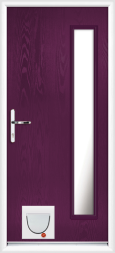 Gwynedd anice with catflap