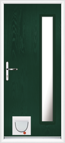 Gwynedd anice with catflap