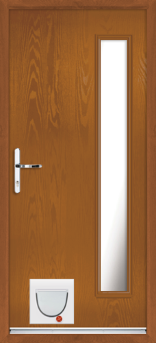 Gwynedd anice with catflap