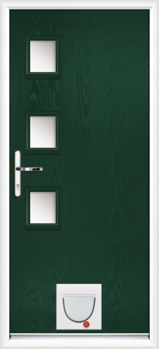 Hampshire anice with catflap