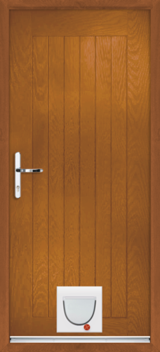 Norfolk with catflap