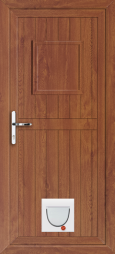 Wandsworth solid with catflap
